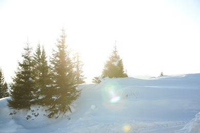 Photo of Beautiful view of snowy hill with conifer trees