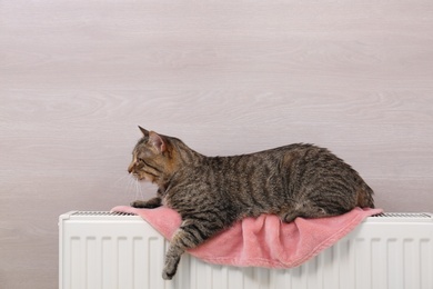 Photo of Cute tabby cat on heating radiator with plaid near light wooden wall