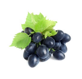Bunch of dark blue grapes with green leaves isolated on white
