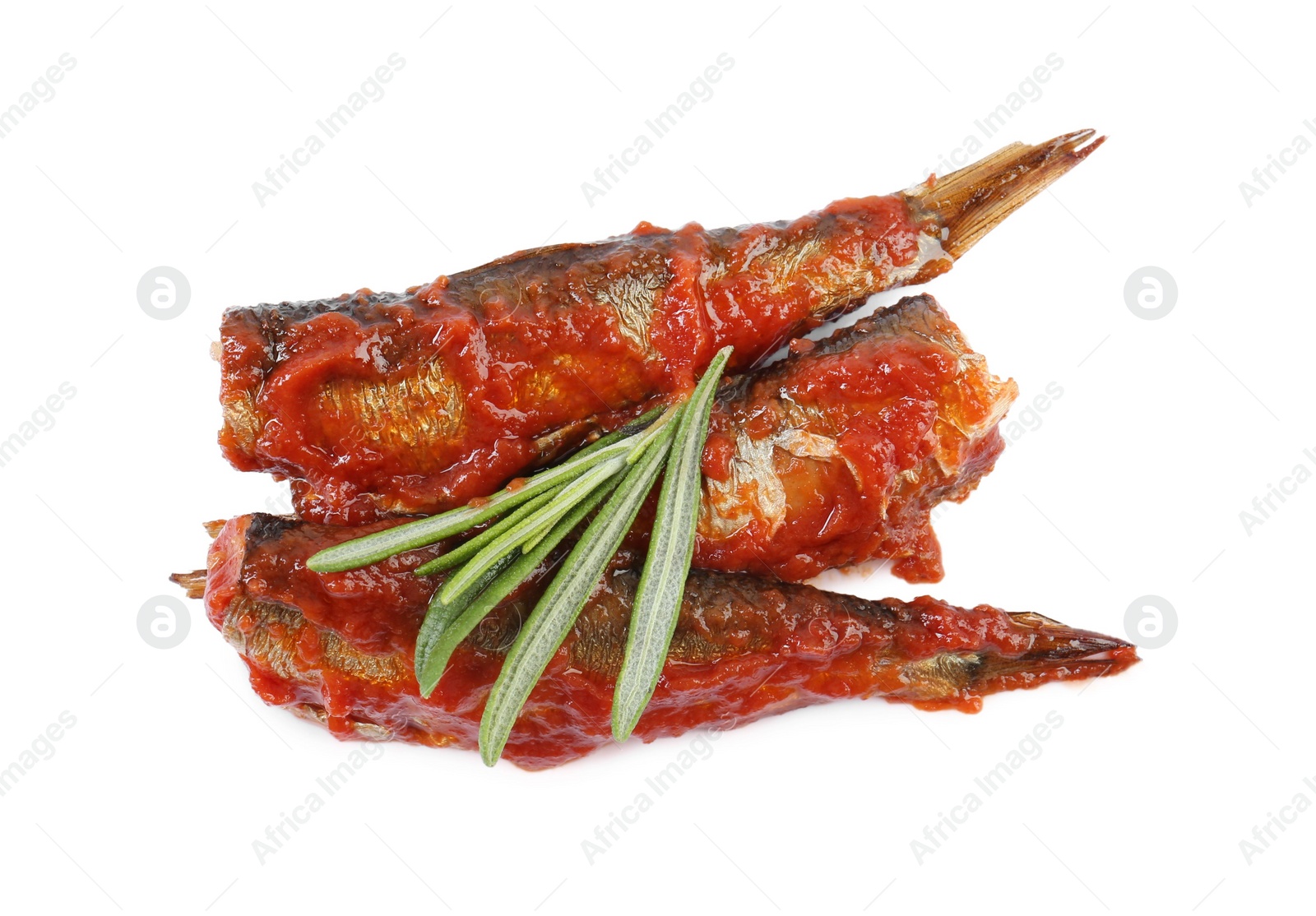 Photo of Tasty canned sprats with tomato sauce and rosemary isolated on white, top view