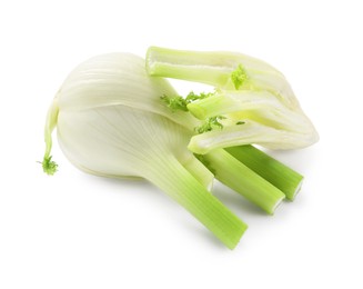Photo of Whole and cut fennel bulbs isolated on white