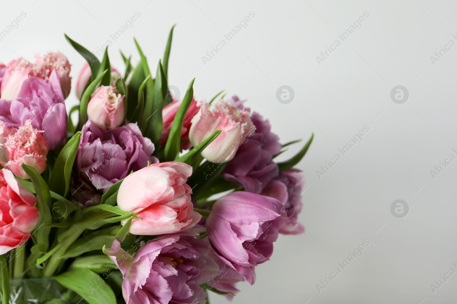 Photo of Beautiful bouquet of colorful tulip flowers against white background, closeup. Space for text