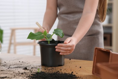 Photo of Little girl planting seedling into pot at wooden table indoors, closeup