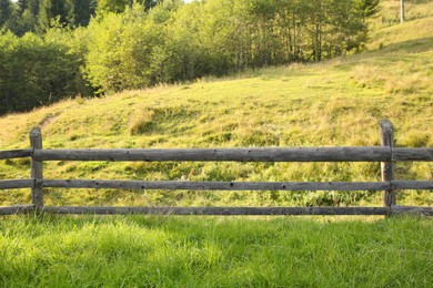 Photo of Wooden fence and bright green grass outdoors