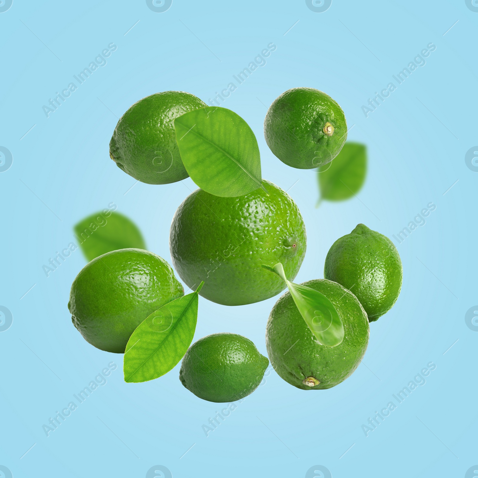 Image of Fresh lime fruits and green leaves falling on light blue background