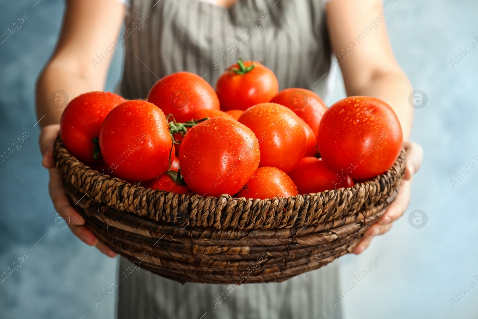 Photo of Woman holding wicker bowl with ripe tomatoes, closeup