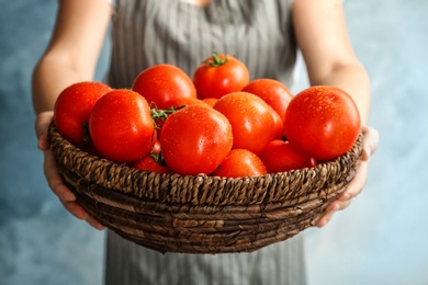 Photo of Woman holding wicker bowl with ripe tomatoes, closeup