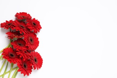 Beautiful bright red gerbera flowers on white background, top view