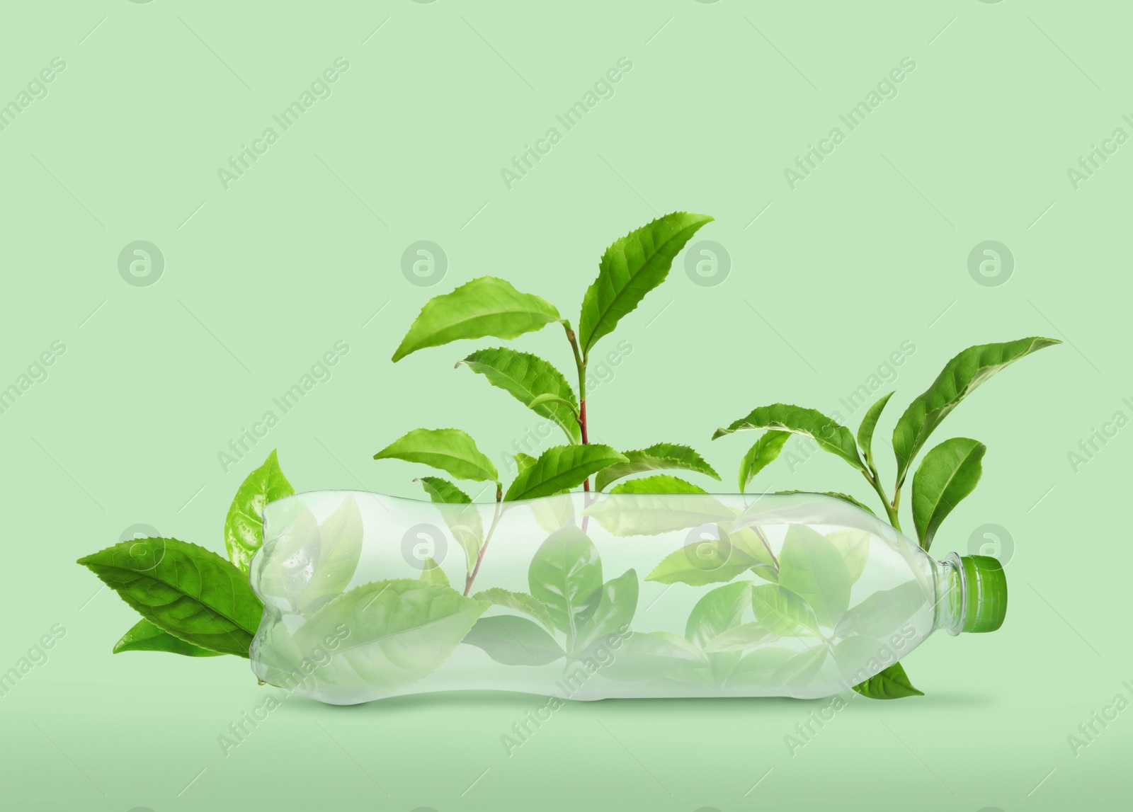 Image of Bottle made of biodegradable plastic and leaves on green background