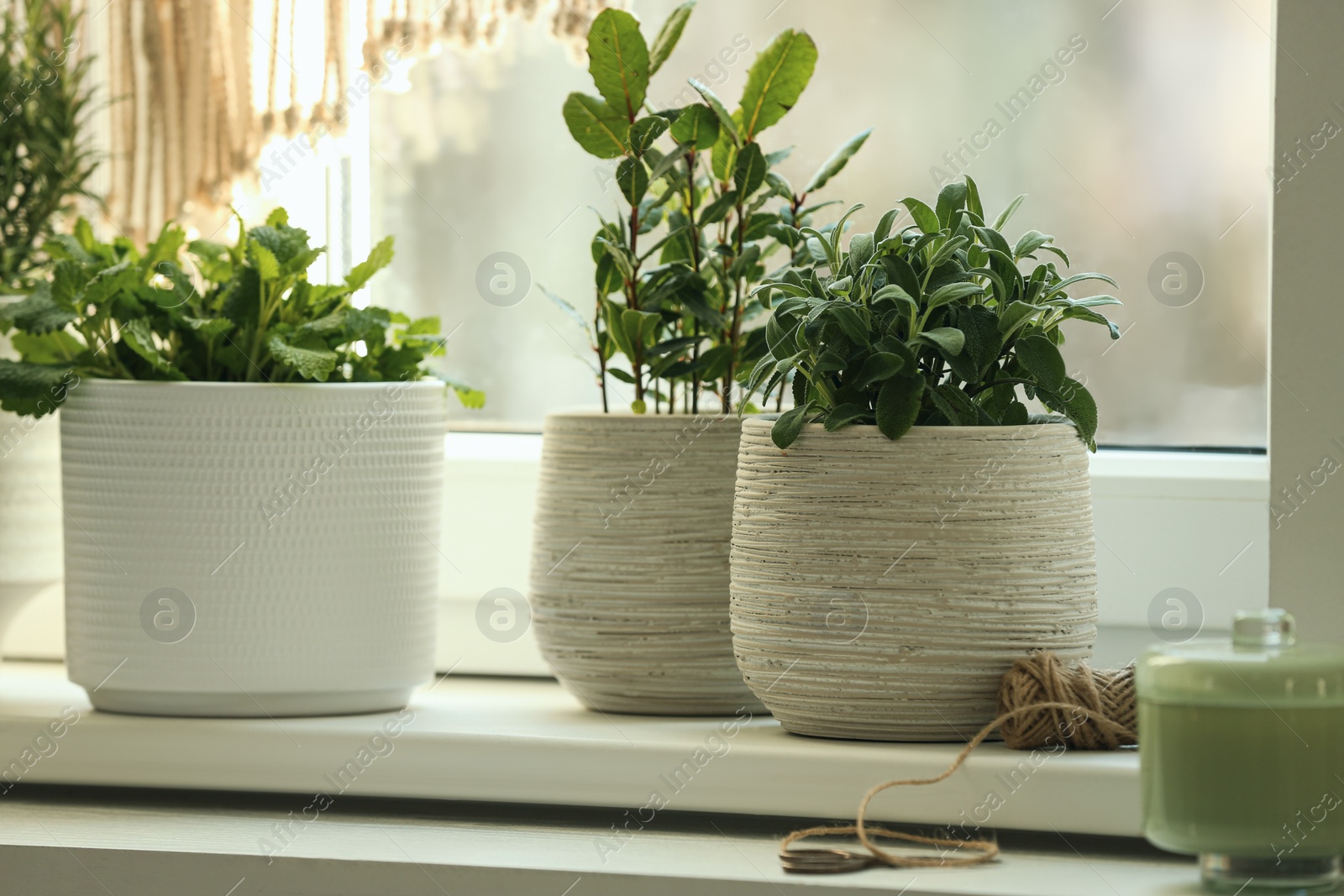 Photo of Different aromatic potted herbs on windowsill indoors