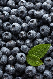 Wet fresh blueberries with green leaves as background, top view