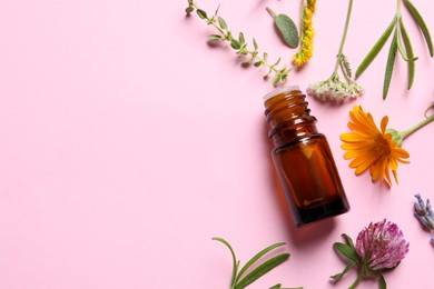 Photo of Bottle of essential oil, different herbs and flowers on pink background, flat lay. Space for text