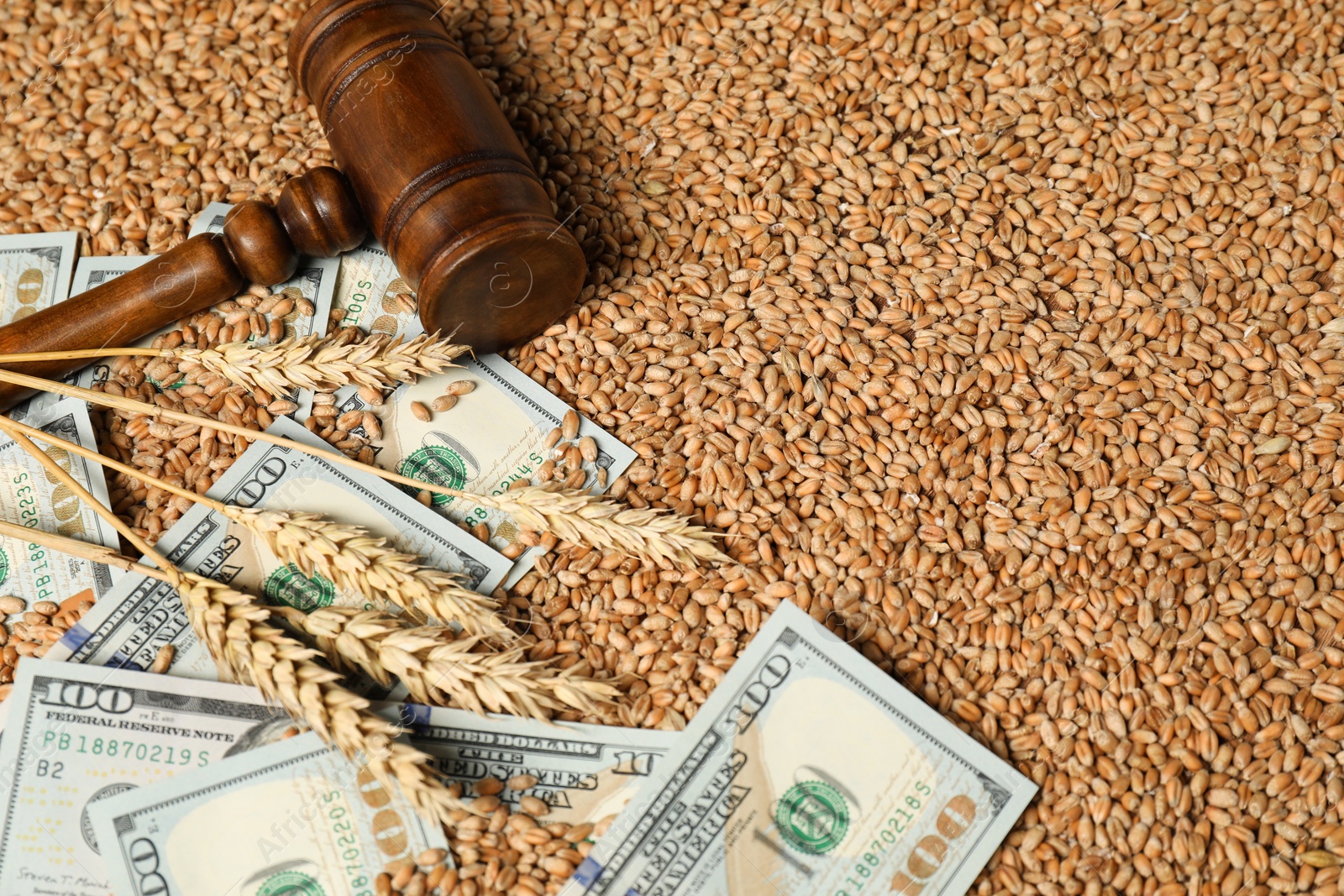 Photo of Dollar banknotes, wooden gavel and wheat ears on grains, closeup. Agricultural business