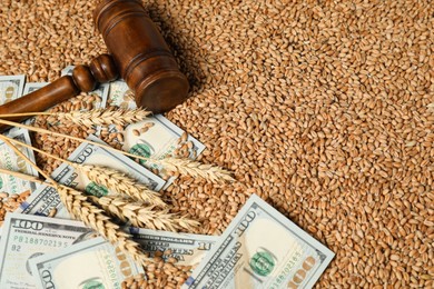 Photo of Dollar banknotes, wooden gavel and wheat ears on grains, closeup. Agricultural business