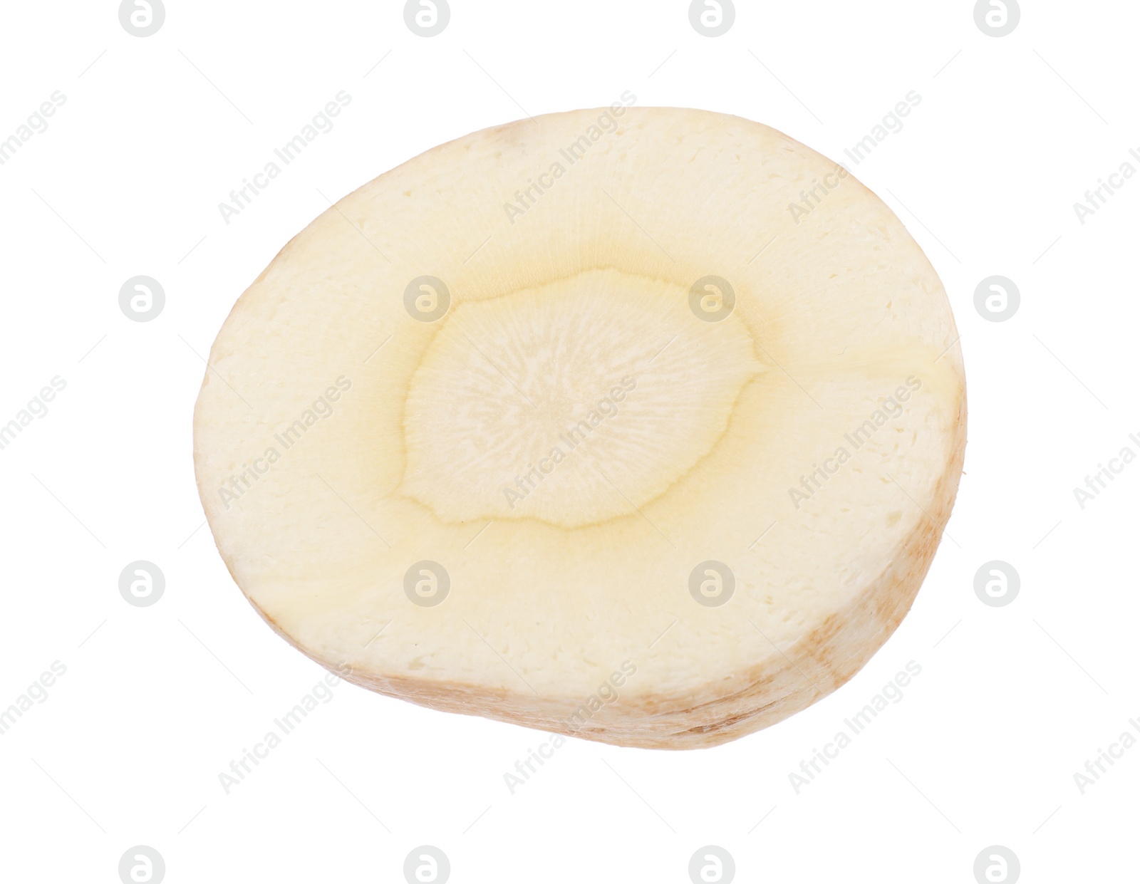 Photo of Piece of fresh parsnip isolated on white