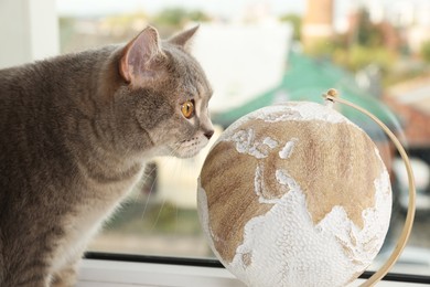 Photo of Cute cat and globe on windowsill indoors, closeup. Travel with pet concept