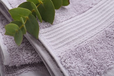 Photo of Violet terry towel and eucalyptus branch, closeup. Space for text