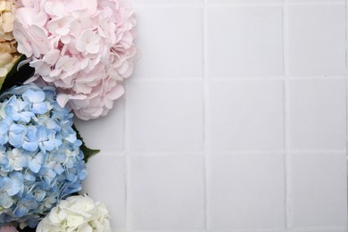 Beautiful hydrangea flowers on white tiled background, top view. Space for text