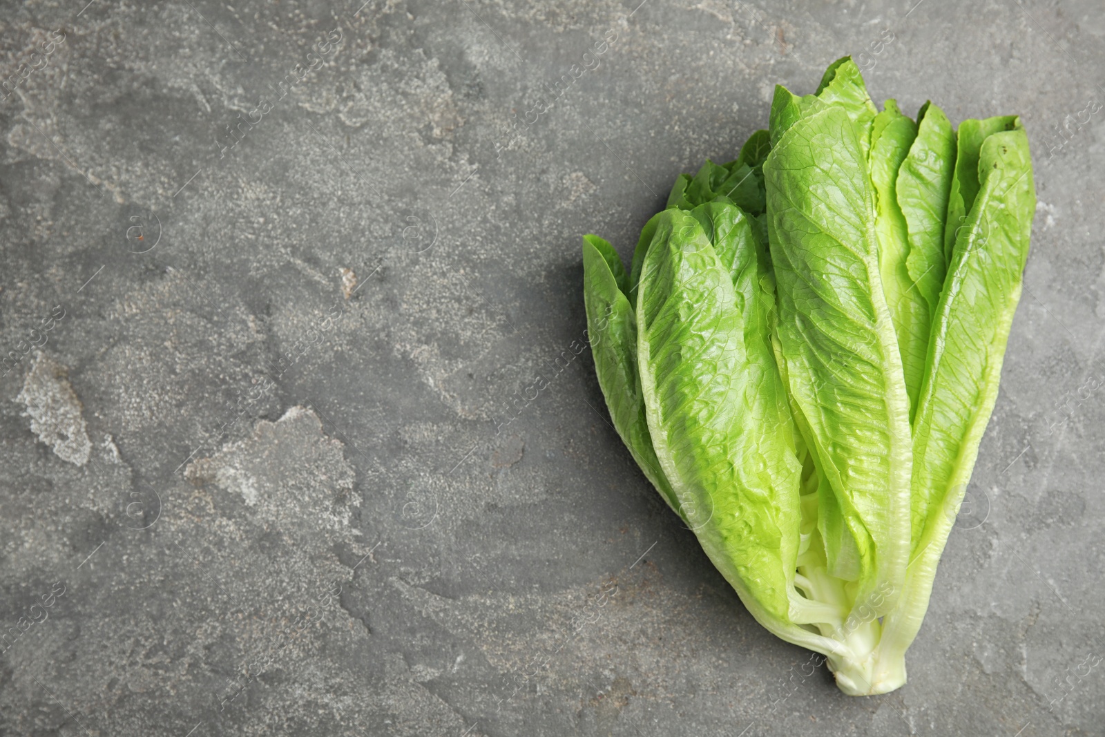 Photo of Fresh ripe cos lettuce on gray background, top view