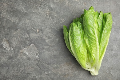 Photo of Fresh ripe cos lettuce on gray background, top view