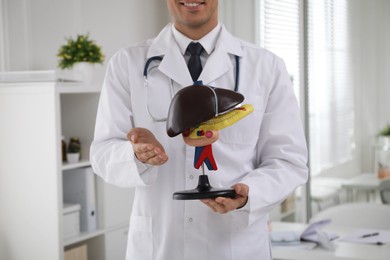 Doctor demonstrating model of liver in clinic, closeup