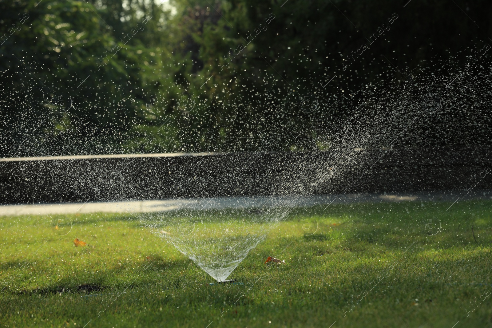 Photo of Automatic sprinkler watering green grass in park. Irrigation system