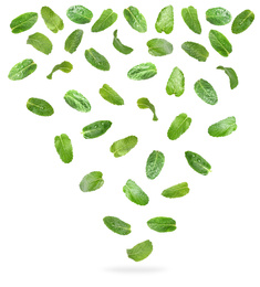 Image of Set of flying green mint leaves on white background