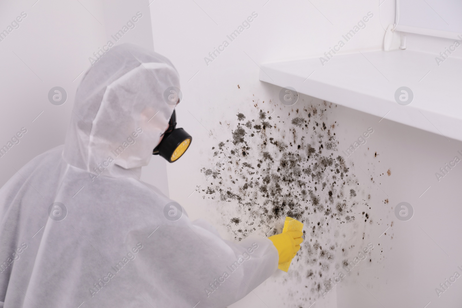 Image of Woman in protective suit and rubber gloves removing mold from wall with rag