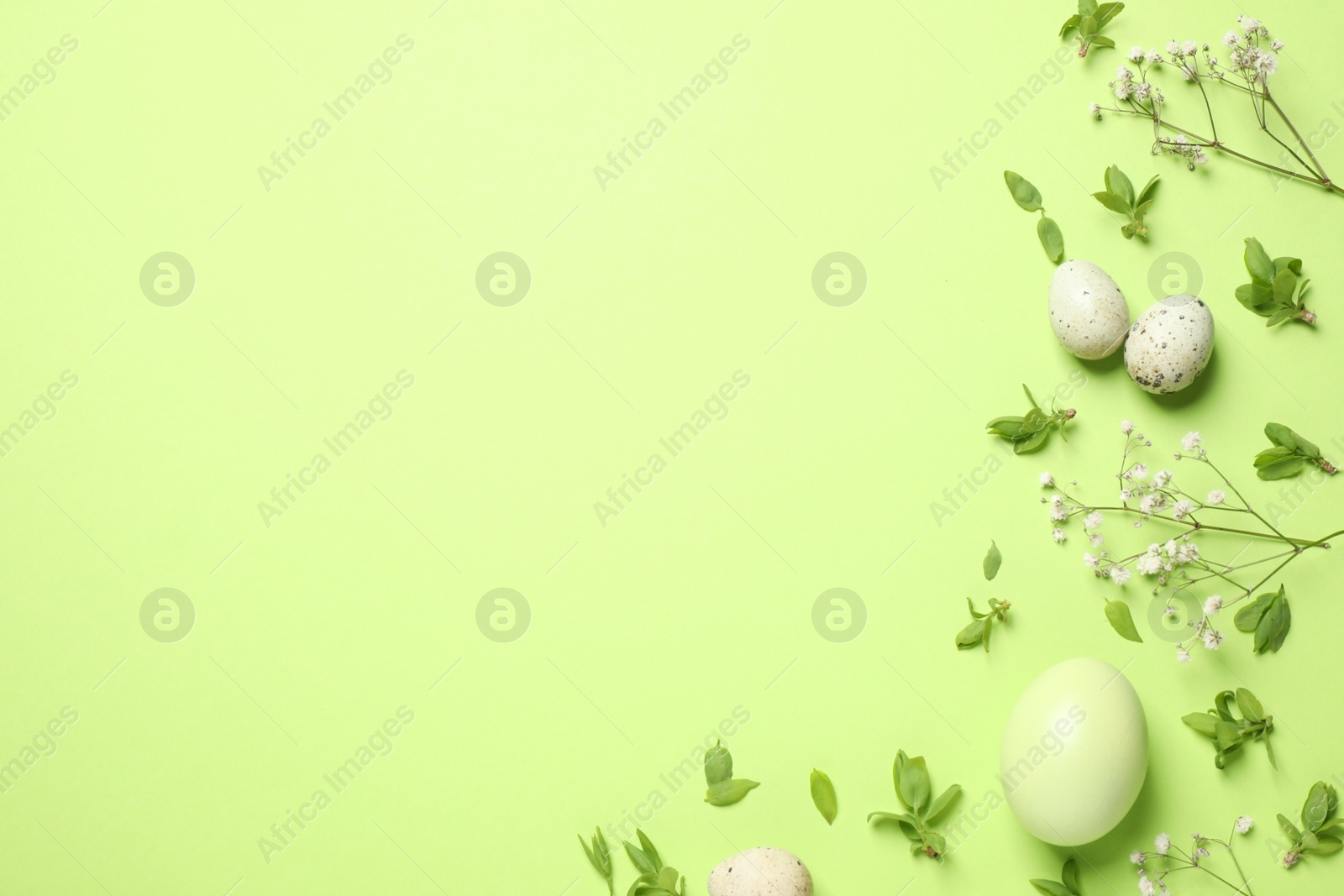 Photo of Beautiful flat lay composition with flowers and Easter eggs on green background. Space for text