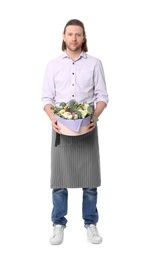 Photo of Male florist holding box with flowers on white background