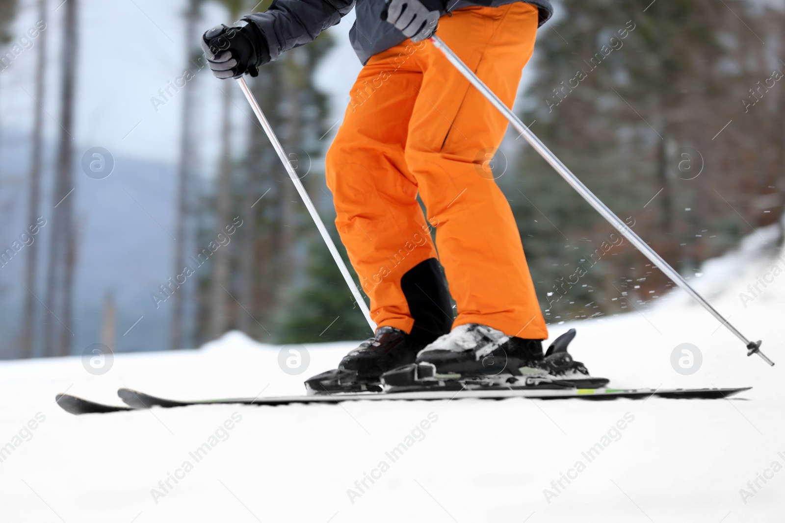 Photo of Skier on slope at resort, closeup. Winter vacation