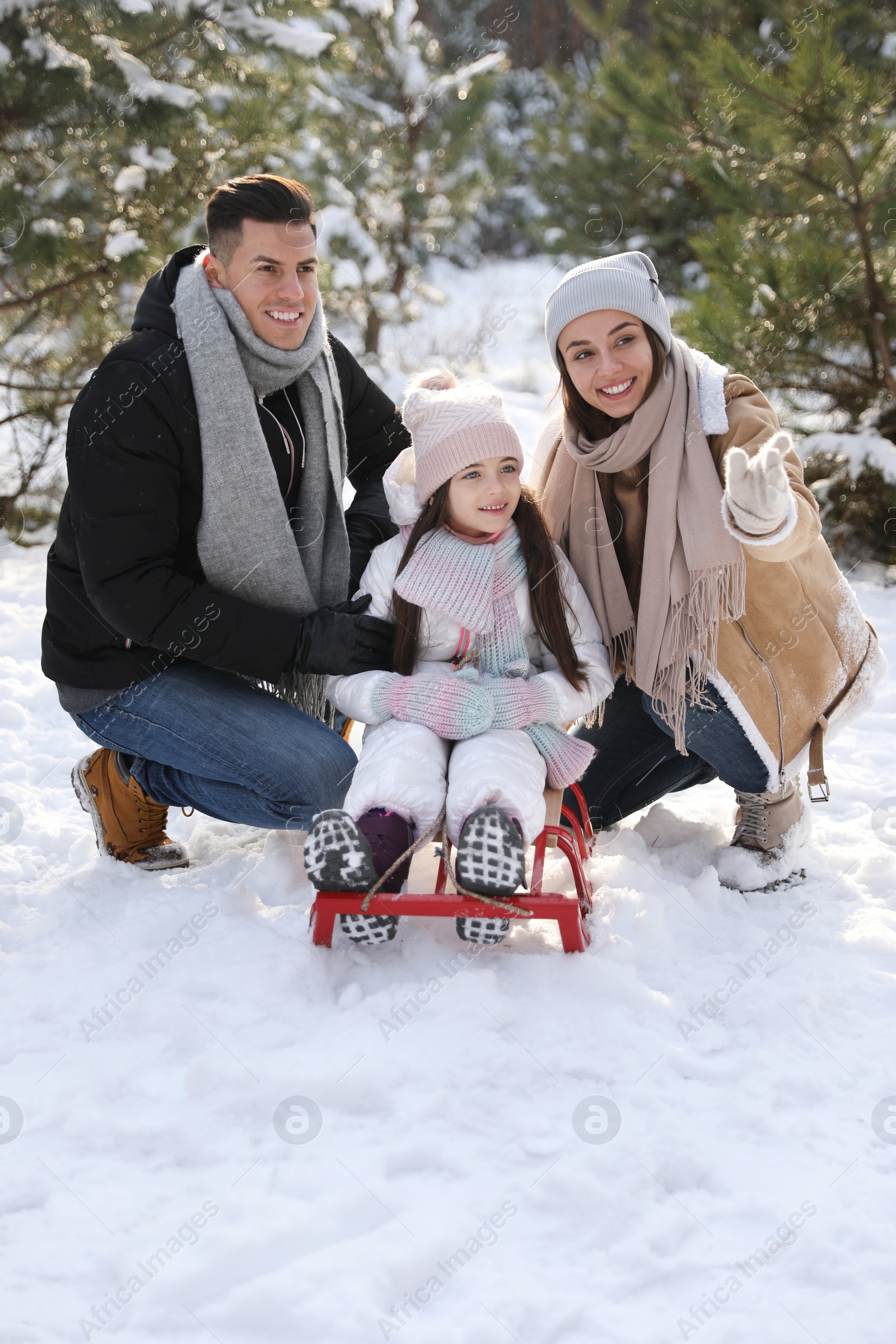 Photo of Happy family with sledge outdoors on winter day. Christmas vacation