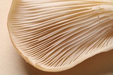 Photo of Fresh oyster mushroom on beige background, macro view