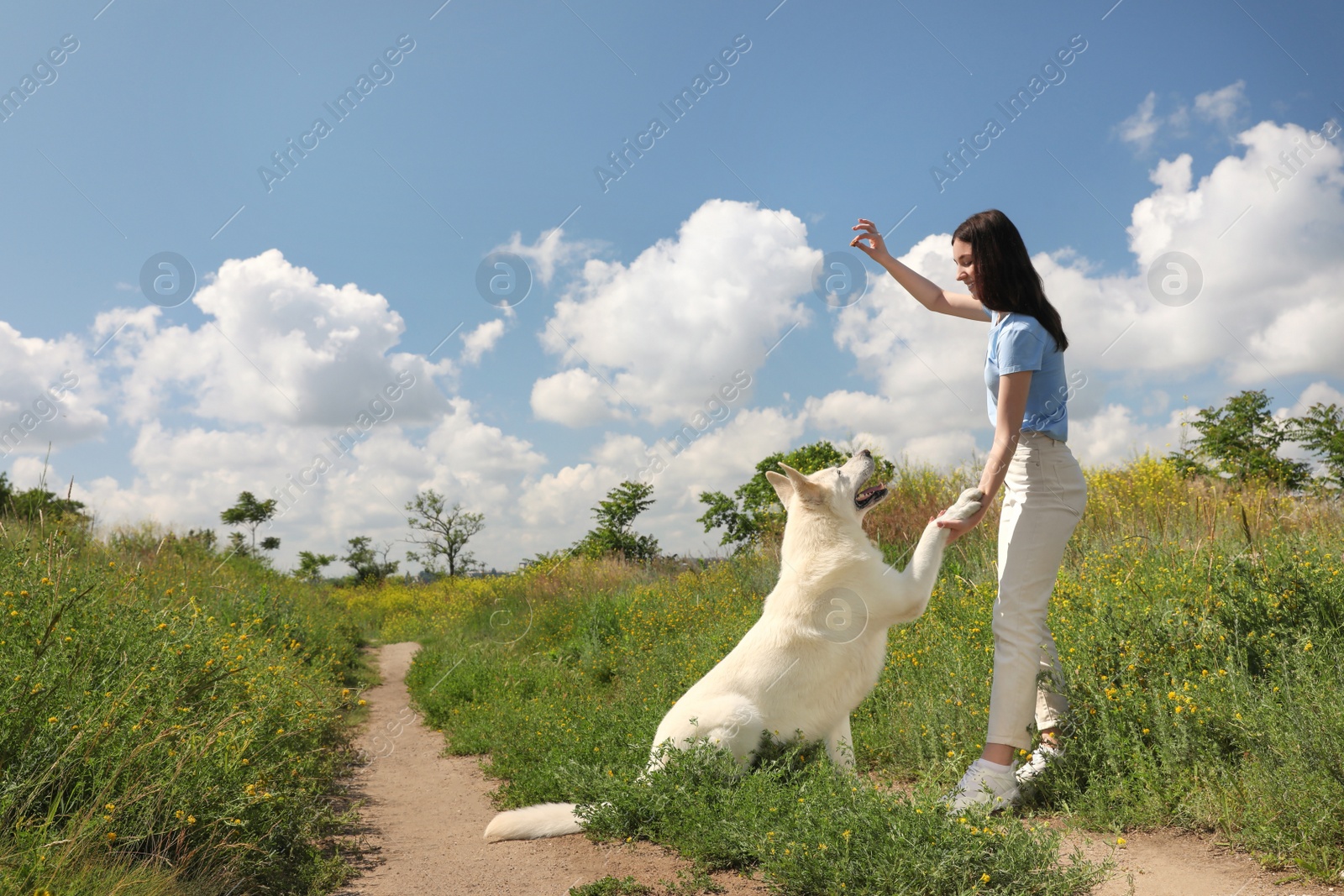 Photo of Teenage girl training her white Swiss Shepherd dog in field