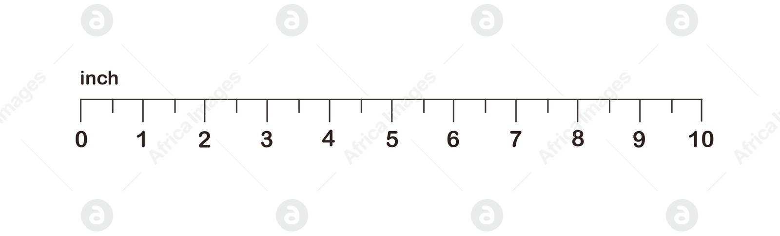 Image of Measuring length markings in inches of ruler on white background. Illustration