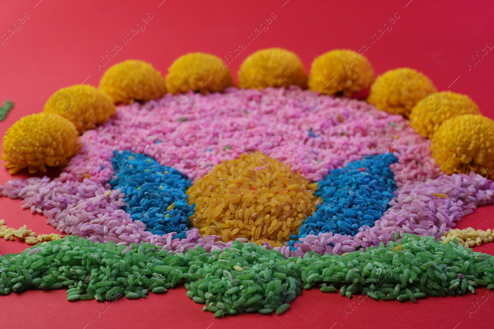 Photo of Happy Diwali. Composition with colorful rangoli and chrysanthemum flowers on red background, closeup