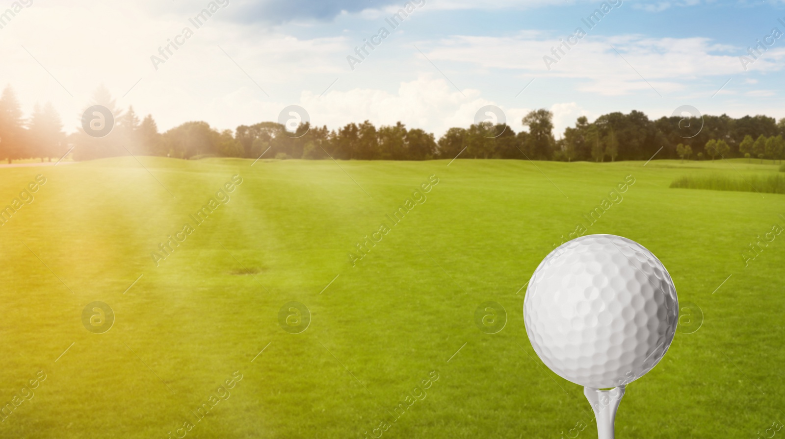 Image of Golf ball with tee in park on sunny day