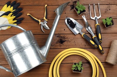 Gardening tools and plants on wooden background, flat lay