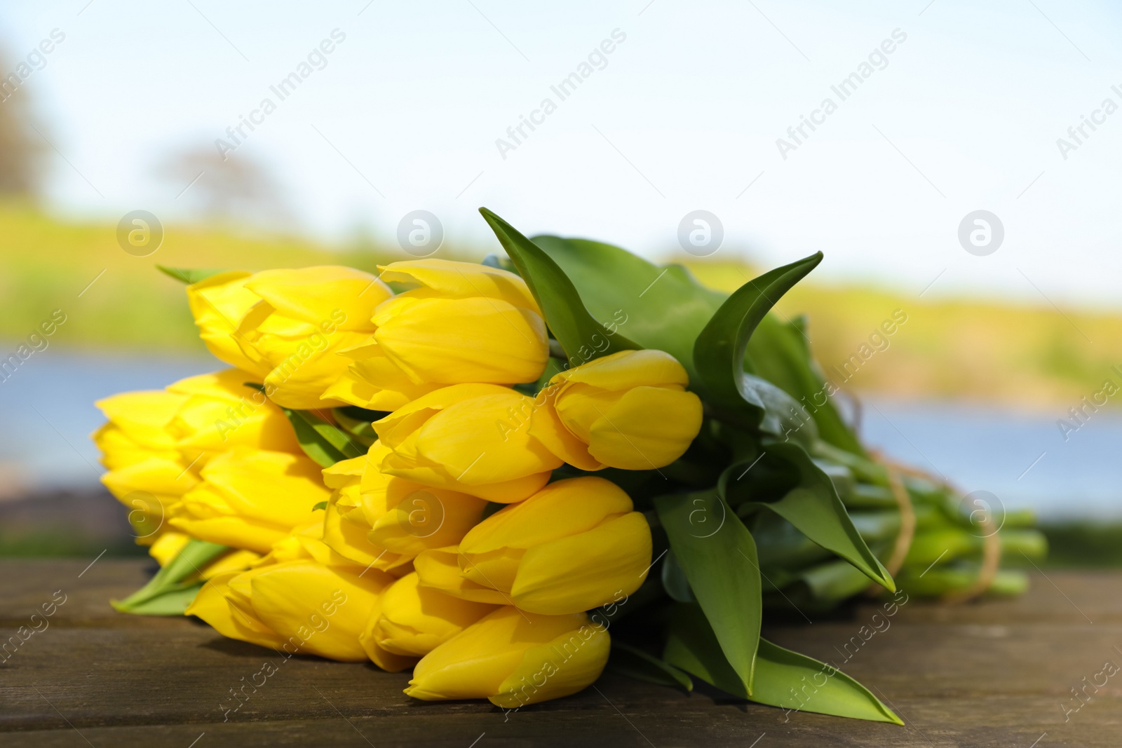 Photo of Bouquet of beautiful yellow tulips on wooden table outdoors, closeup