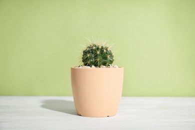 Photo of Beautiful cactus on table against color background