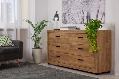 Wooden chest of drawers in modern living room interior