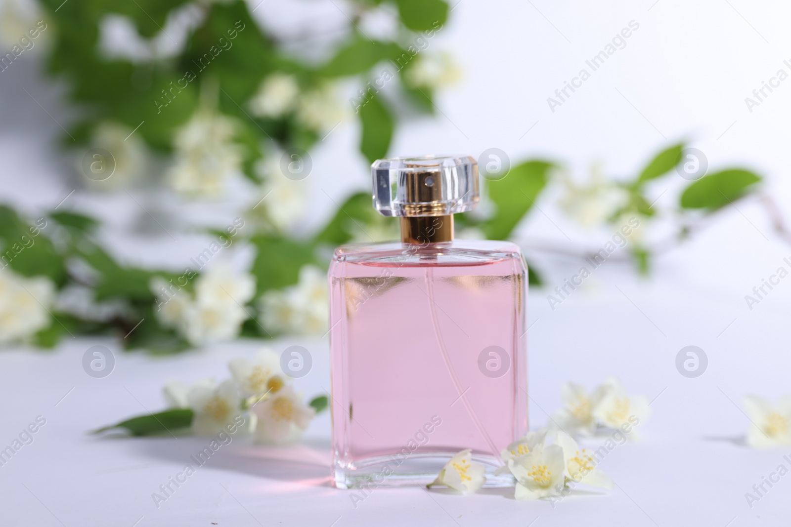 Photo of Aromatic perfume in bottle and beautiful jasmine flowers on white background