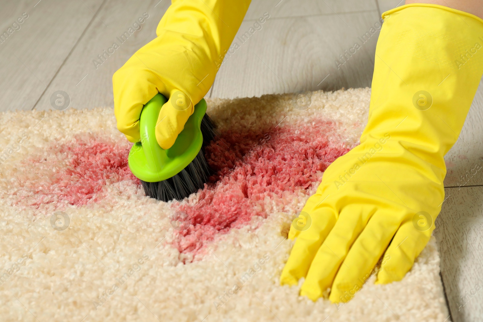 Photo of Woman removing stain from beige carpet, closeup