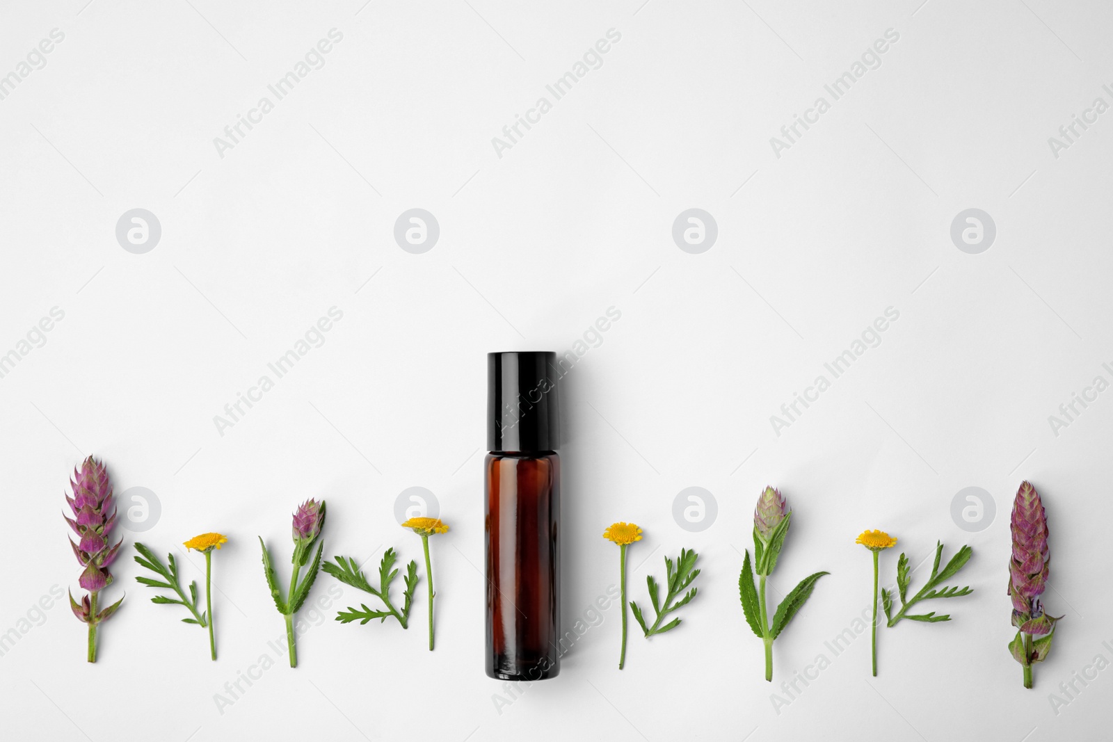 Photo of Bottle of essential oil and wildflowers on white background, top view