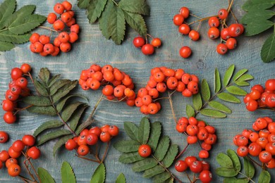 Photo of Fresh ripe rowan berries and green leaves on light blue wooden table, flat lay
