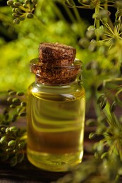 Photo of Bottle of essential oil and fresh dill on wooden table, closeup