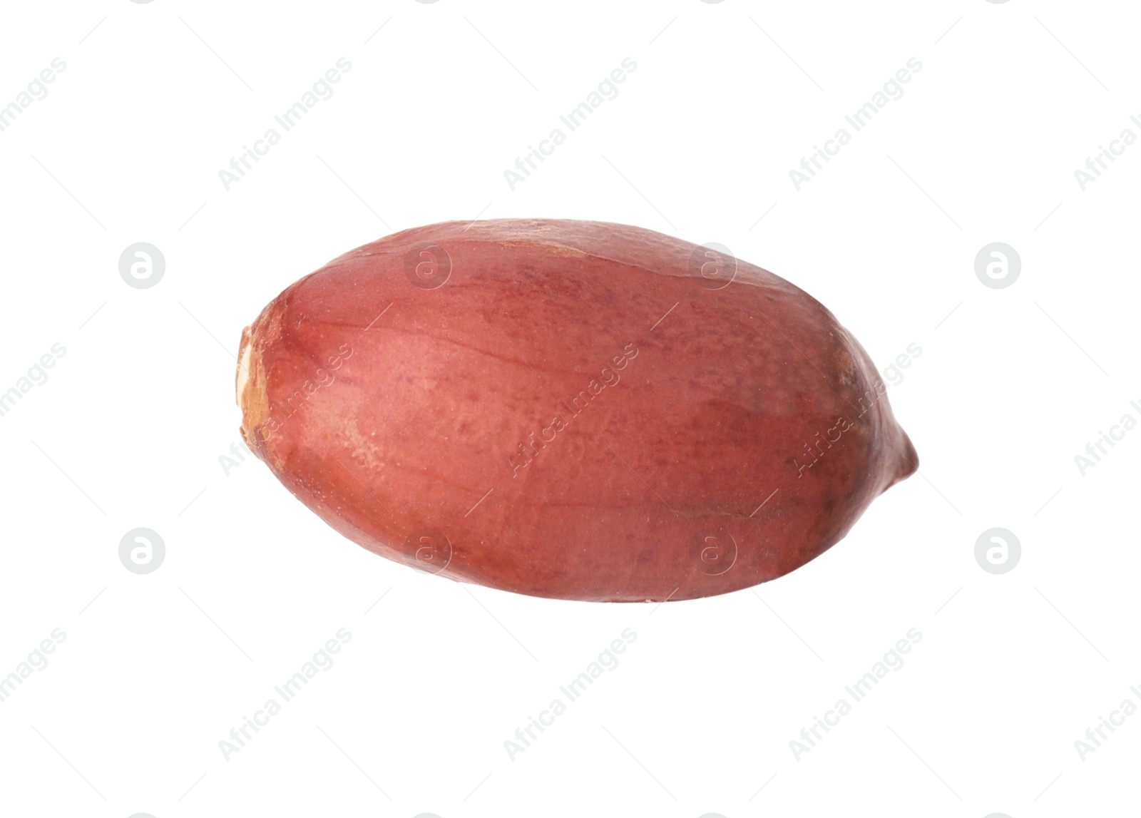 Photo of One fresh unpeeled peanut isolated on white