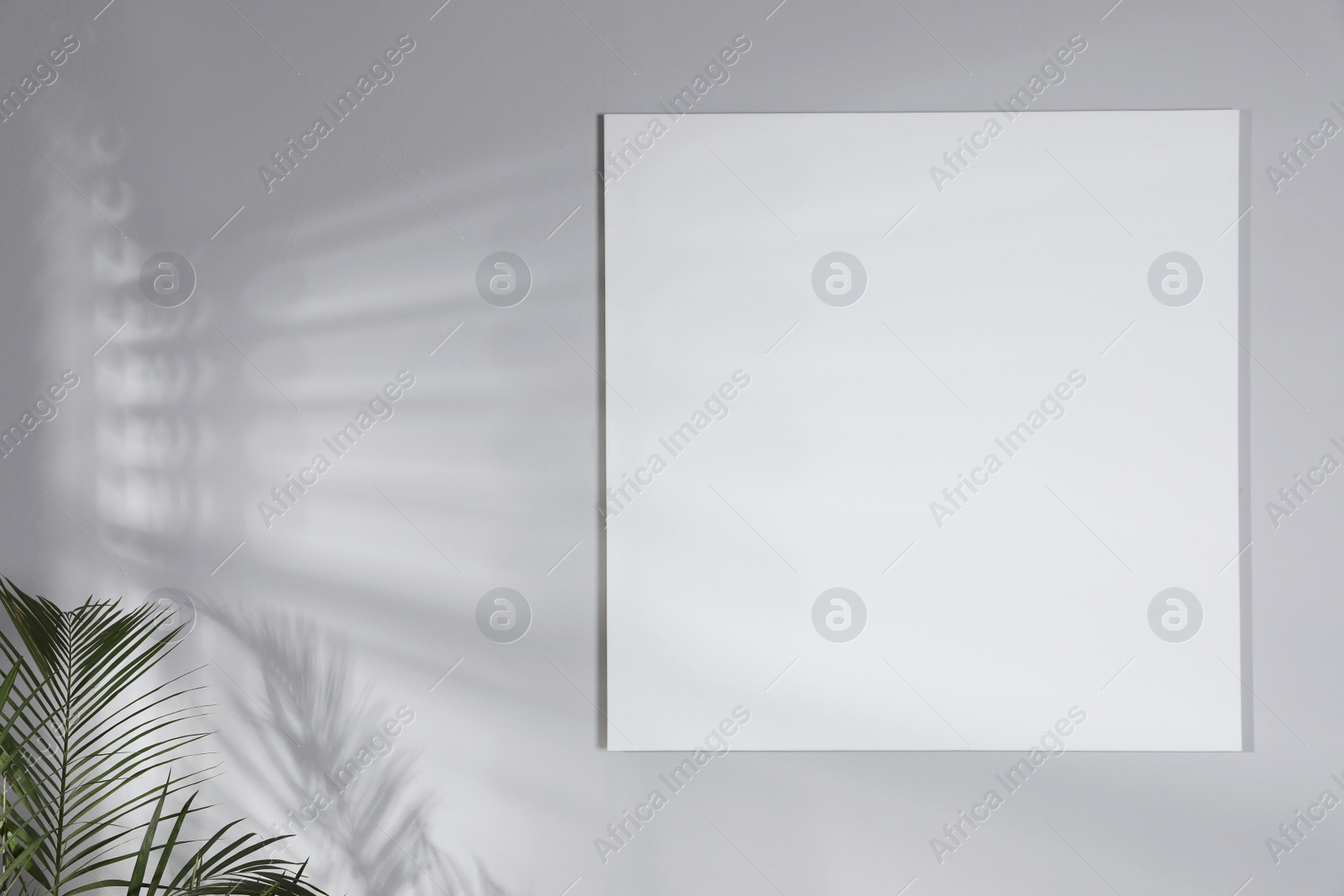 Photo of Blank canvas on light grey wall indoors. Space for design