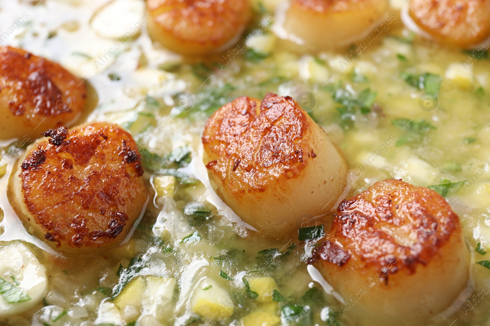 Photo of Fried scallops with sauce and garlic, closeup