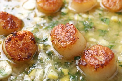 Fried scallops with sauce and garlic, closeup